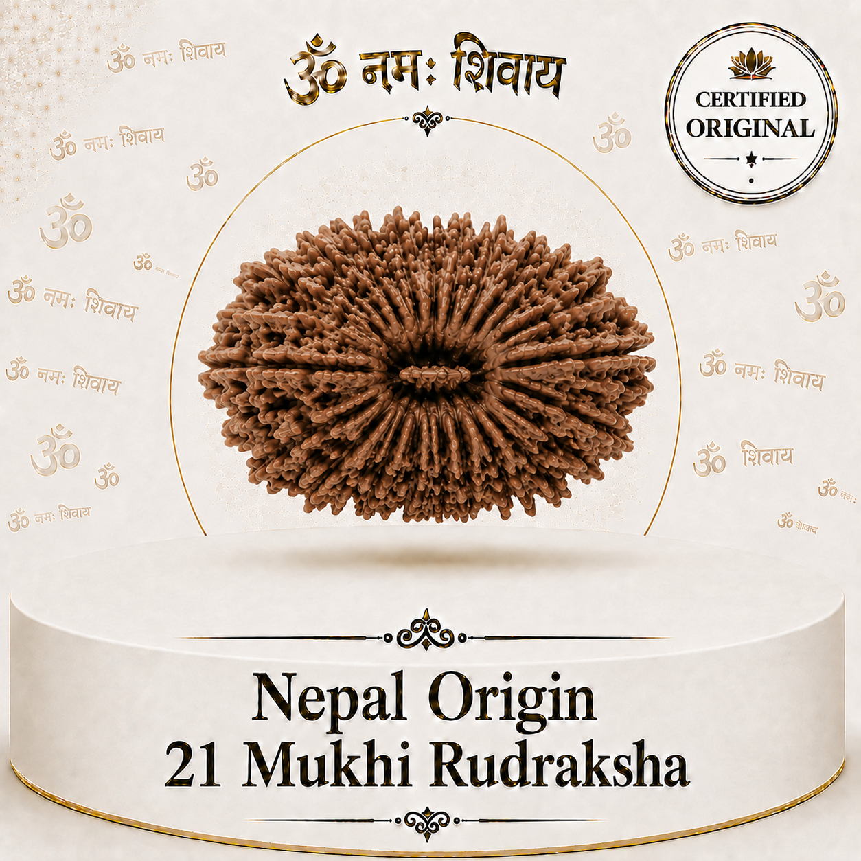 21 Mukhi Rudraksha (Nepal Origin)
